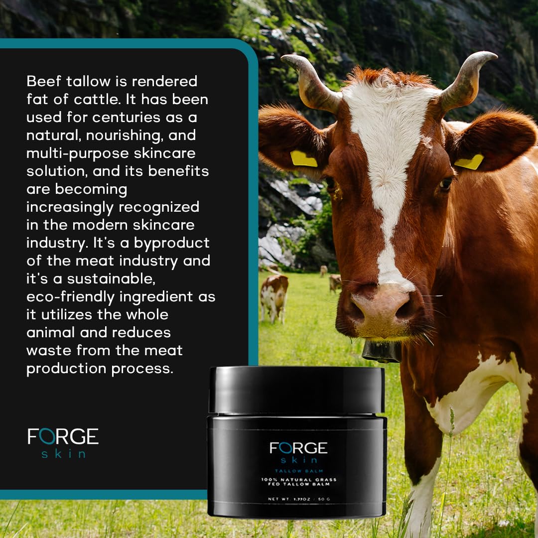 Forge Skin Men's Wrinkle Defense Beef Tallow Balm for Skin- 1.77 OZ | Mens Skin Care Anti-Aging Wagyu Face Cream - Facial Skincare Moisturizer for Wrinkles, Dark Circles, and Fine Lines